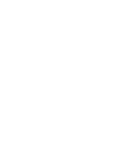 LGS Logo